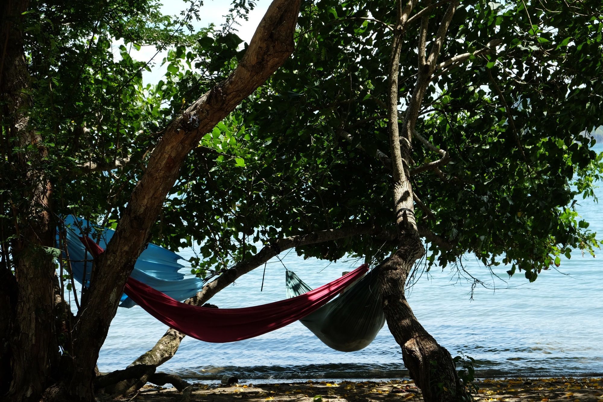 Coconut Beach Resort Labuan Bajo Exterior photo